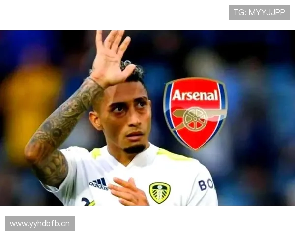 拉菲尼亚与萨卡：英超边锋进攻效率及战术适配性对比分析